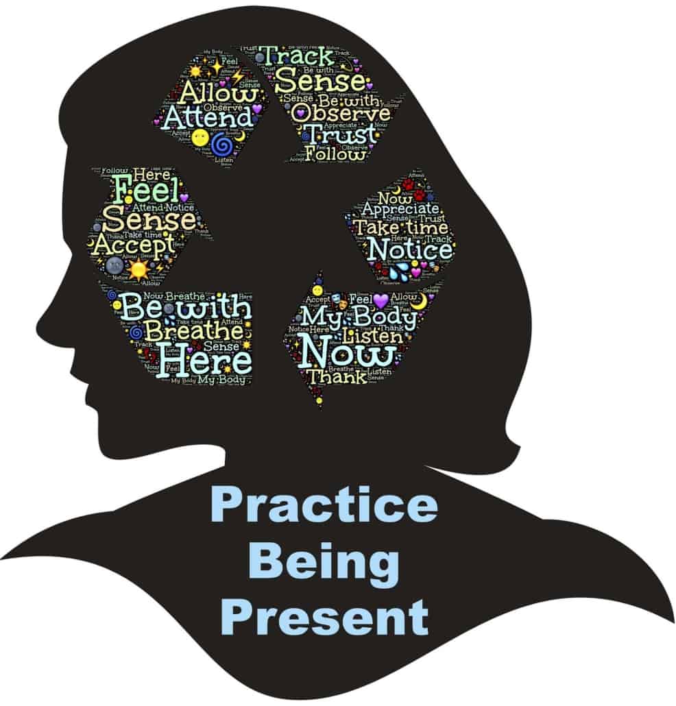 Pubblicazione nuovo corso di Mindfulness